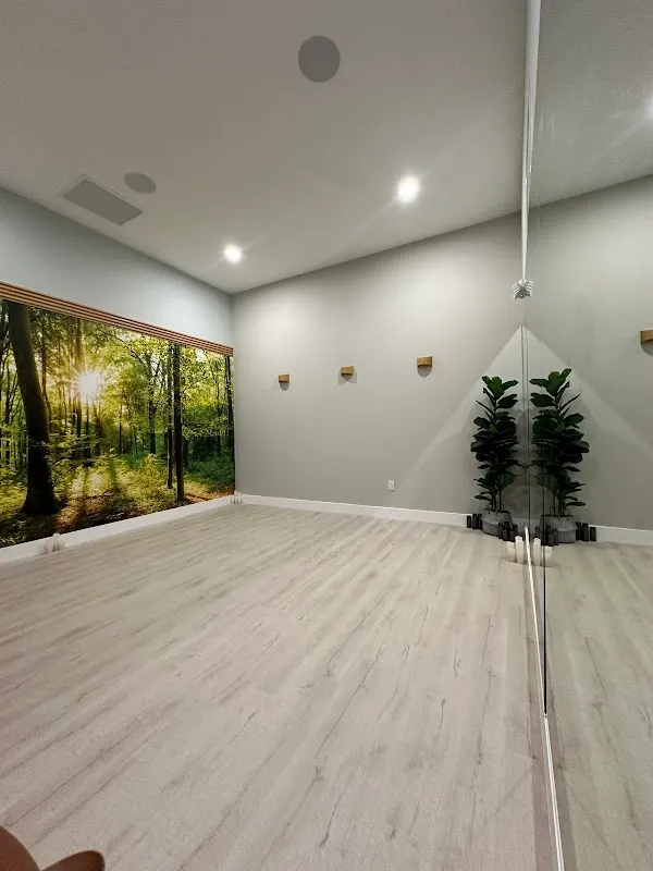 ZenVida Yoga & Fitness Studio