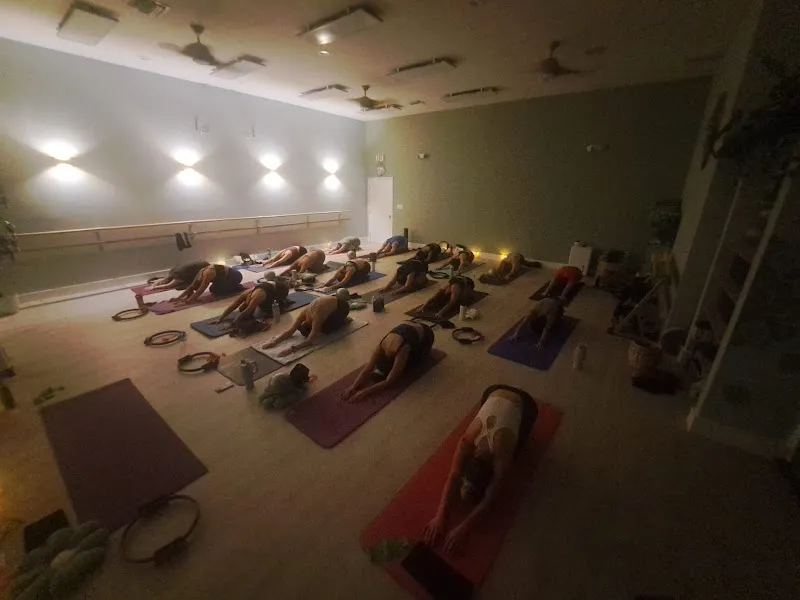 ZenVida Yoga & Fitness Studio