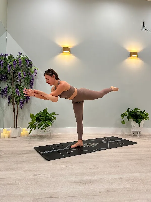 ZenVida Yoga & Fitness Studio