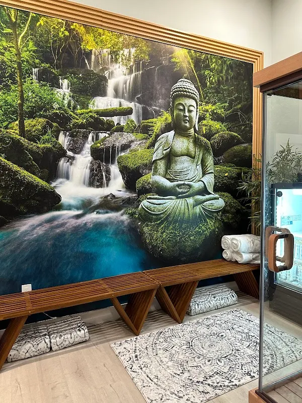 ZenVida Yoga & Fitness Studio