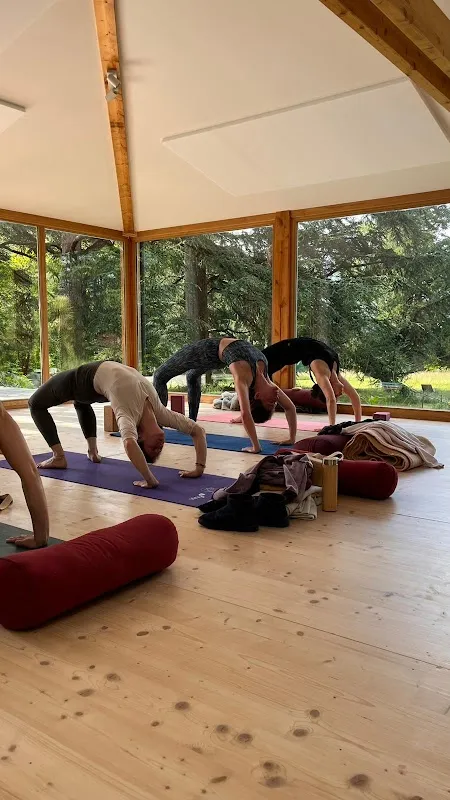 Cam's Yoga ‍ ️ ️- Studio Yoga En Ligne