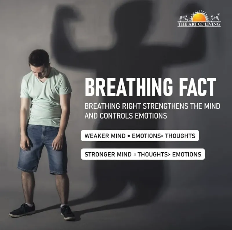 Art Of Living Yoga & Meditation Classes