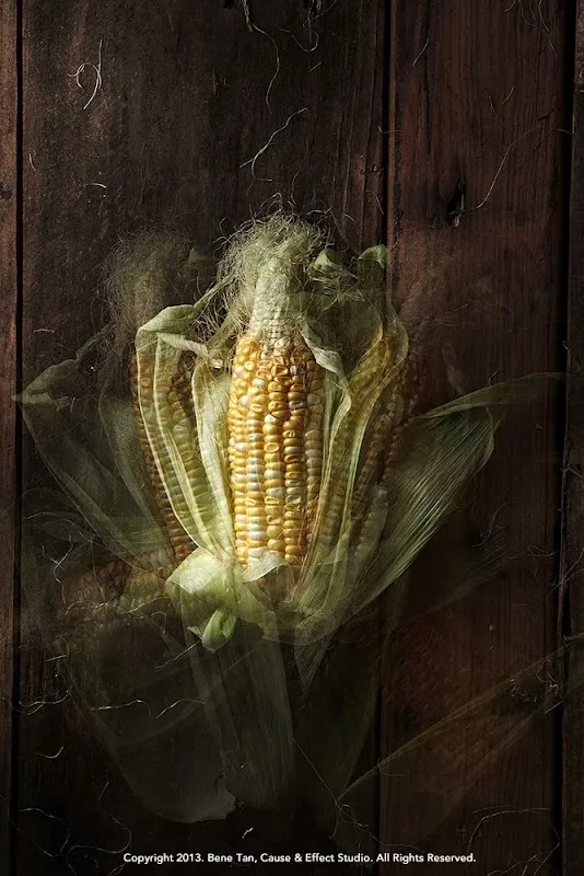 Bene Tan Food Photography | Cause & Effect Studio