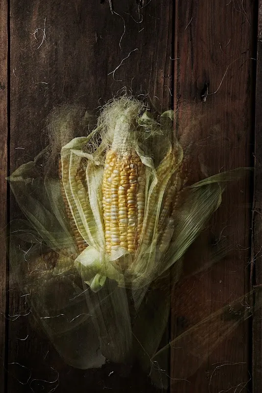 Bene Tan Food Photography | Cause & Effect Studio
