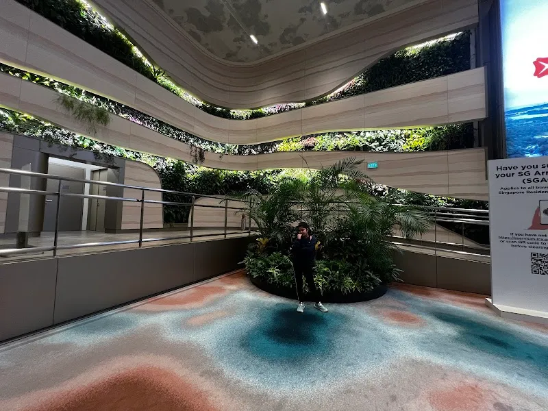 Natureland Changi Airport T2
