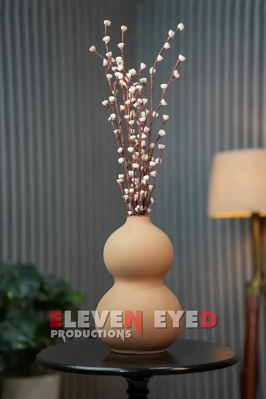 Eleven Eyed Studios