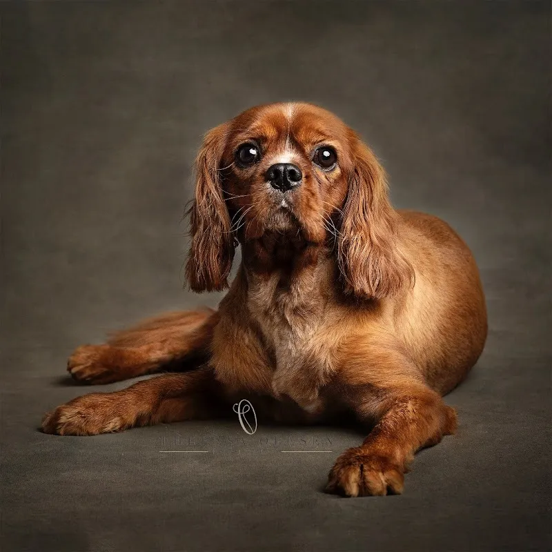 Theresa Olesen Portraits