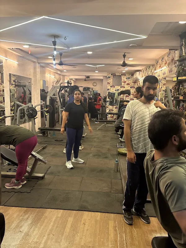 Sun Fitness Xpert Gym