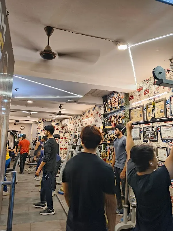 Sun Fitness Xpert Gym