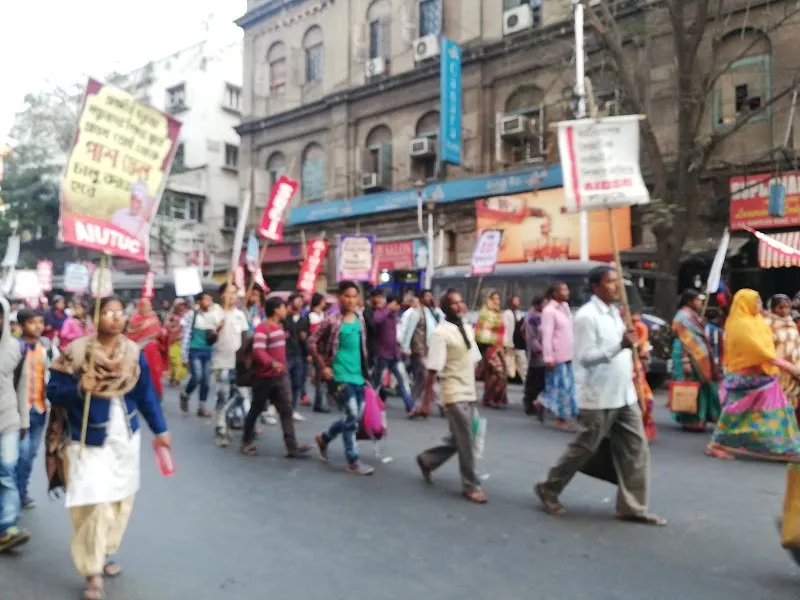 P K Colour Photo Lab