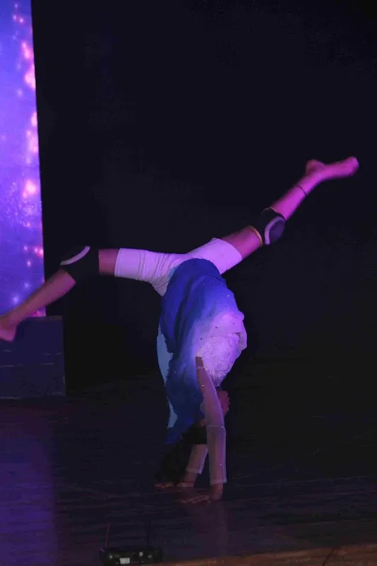 Thriller Dance & fitness Academy