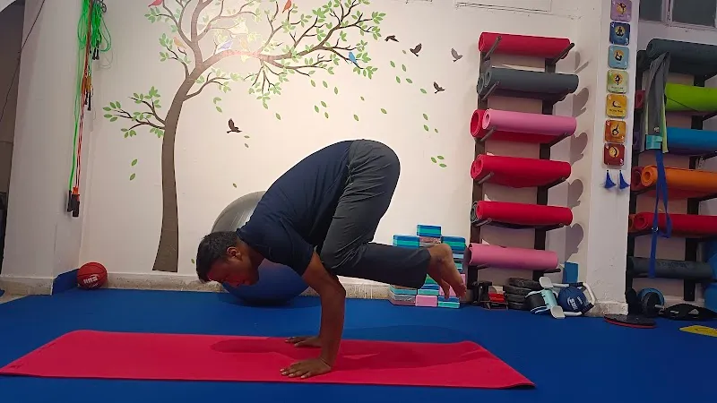 Grace of Yoga