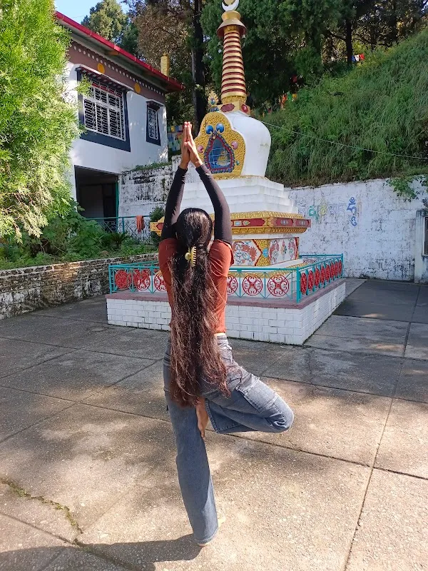 Grace of Yoga