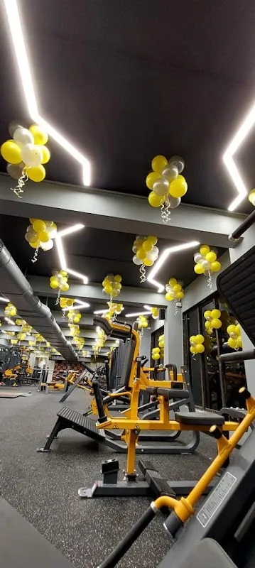 Urban Gymnasium