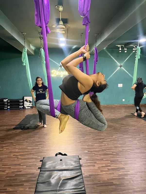 Zingara studio