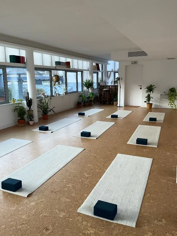 Sattvic Element Yoga Nantes