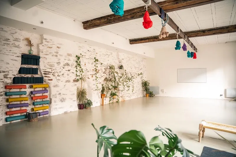 Sattvic Element Yoga Nantes