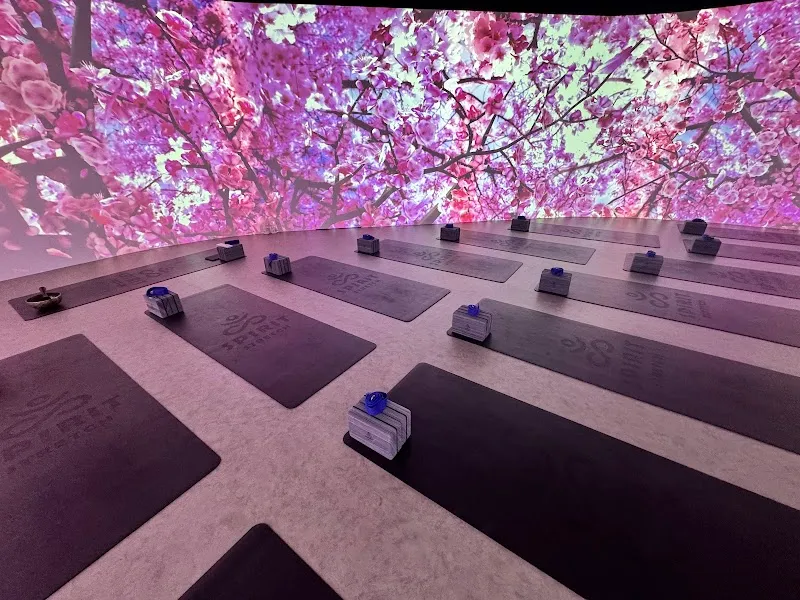 Spirit Stretch Immersive Yoga