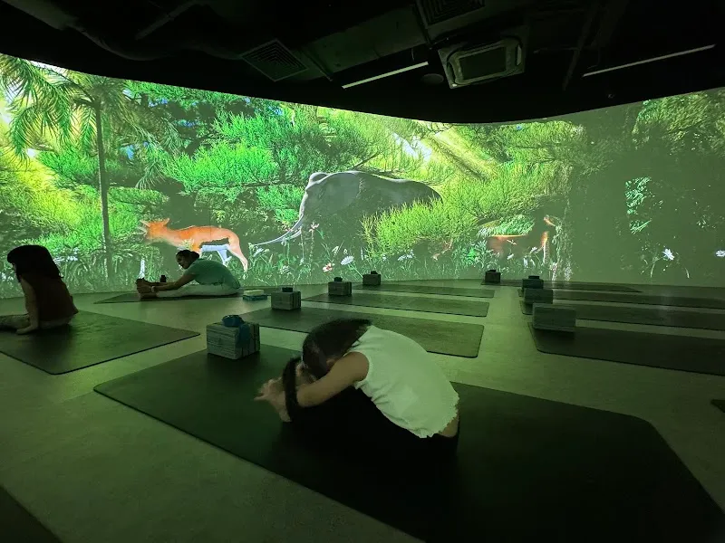 Spirit Stretch Immersive Yoga