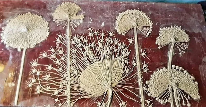 Sunny visval art jhansi