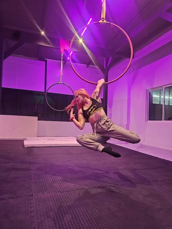 Fight & Flight Studio