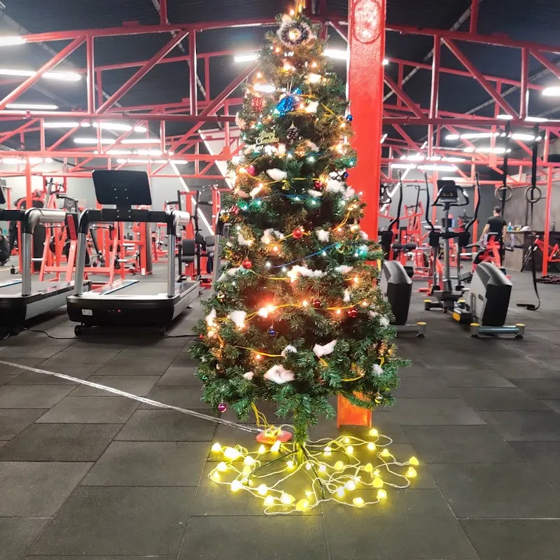 Creed Culture GYM Kandivali,Best Gym in Kandivali |Best Gym in Mumbai