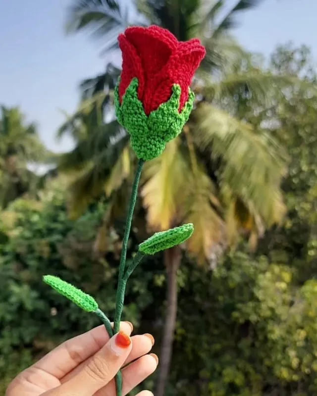 SM's Crochet Studio – Customized Crochet Products, Bouquets, Keychains,Home decor and more