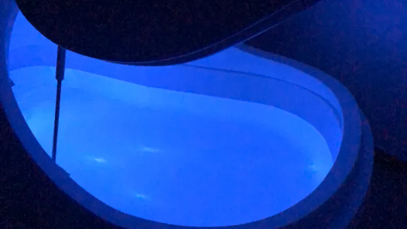 Ascension Float Therapy & Spa