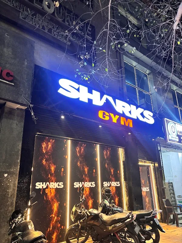 Sharks Gym
