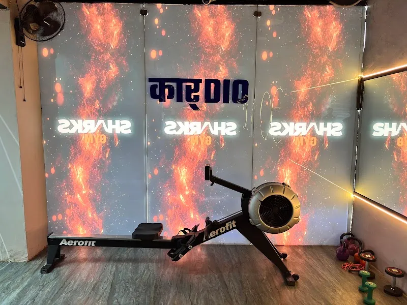 Sharks Gym