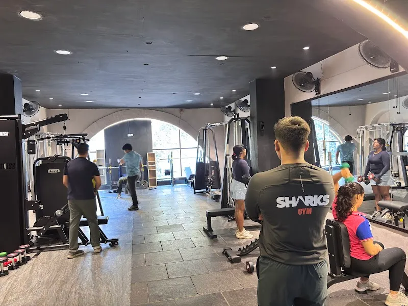 Sharks Gym