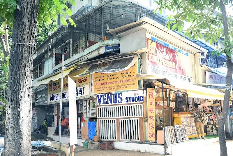 Venus Art Studio