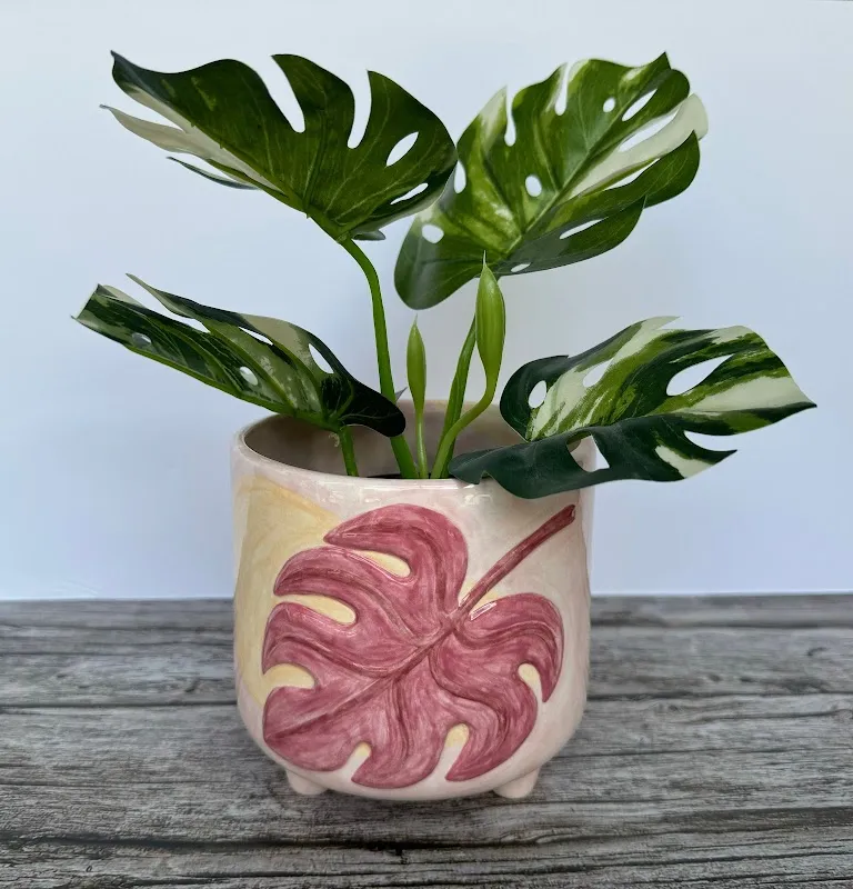 Paradise Pottery & Art Studio