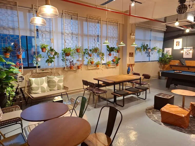 Alta Studio