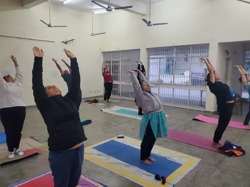 Shri Maa Adi Shakti Yog & Paramparik Chikitsa Kendra
