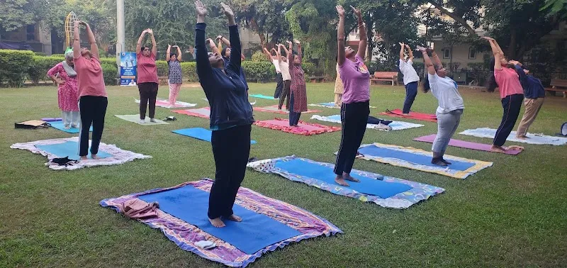 Shri Maa Adi Shakti Yog & Paramparik Chikitsa Kendra