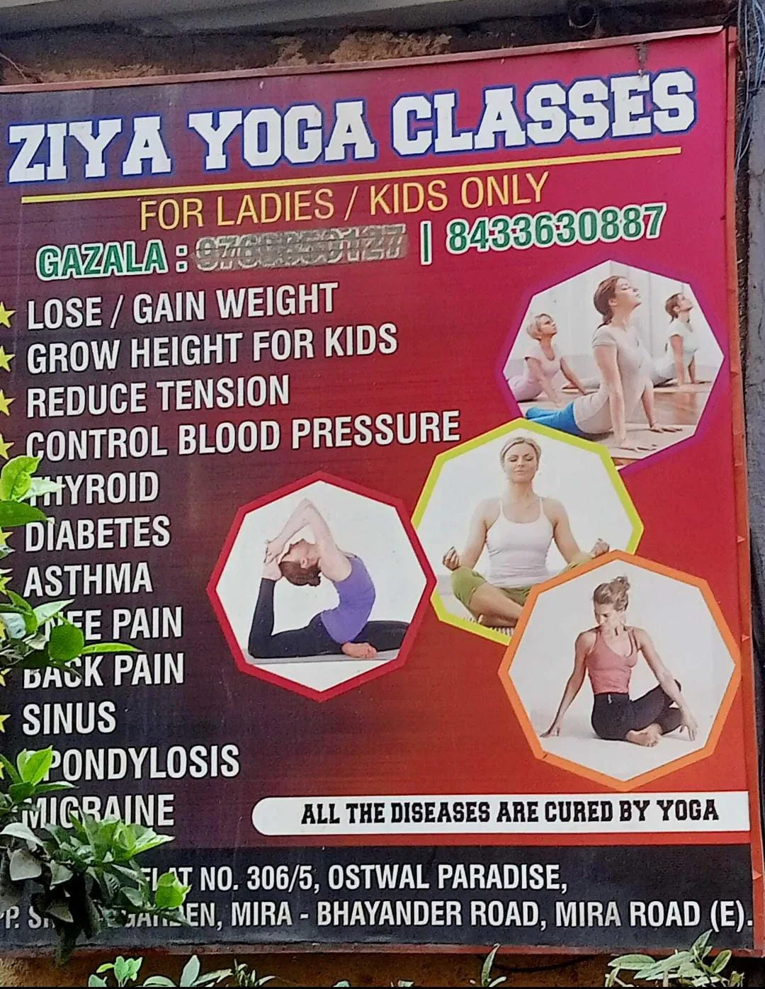 Ziya Yoga Classes
