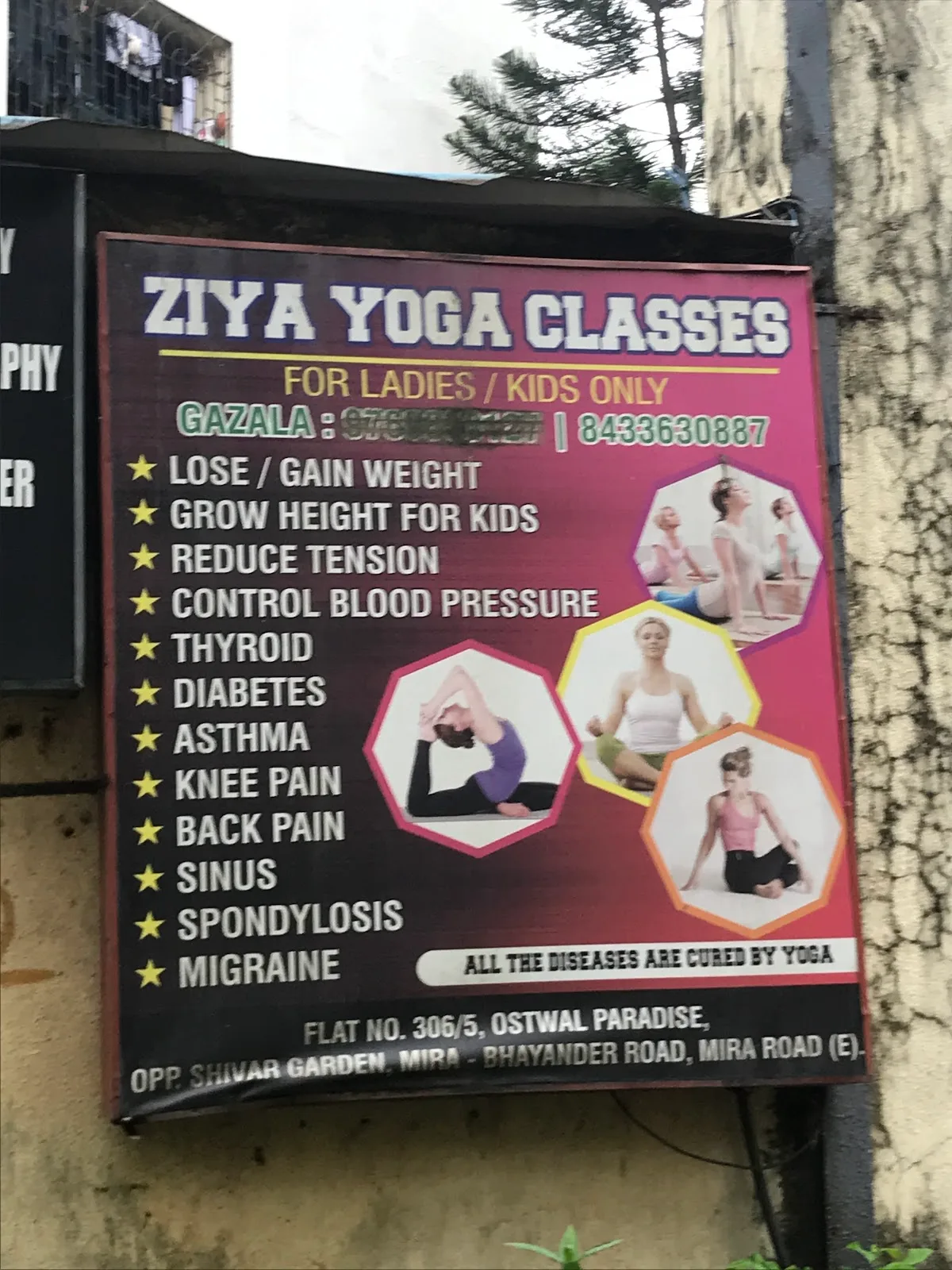 Ziya Yoga Classes
