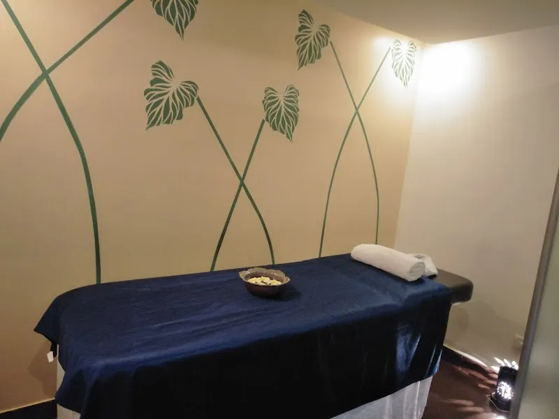 The Spa By Tattva Wellness Spa