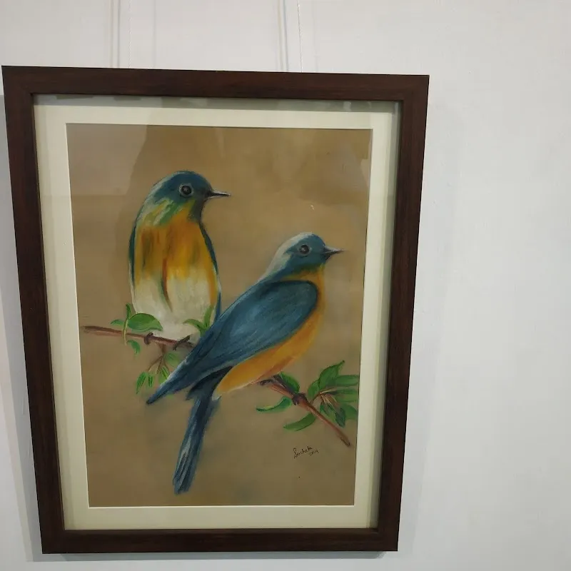 VEDITA Art Studio