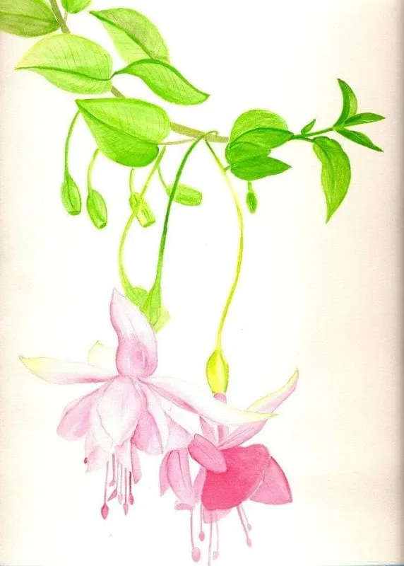 VEDITA Art Studio
