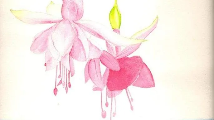 VEDITA Art Studio
