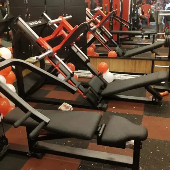 Next Level Fitness