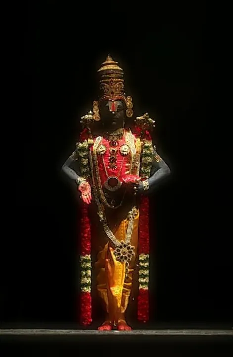 Shekar Rajendran ( Shekar Dance Academy)