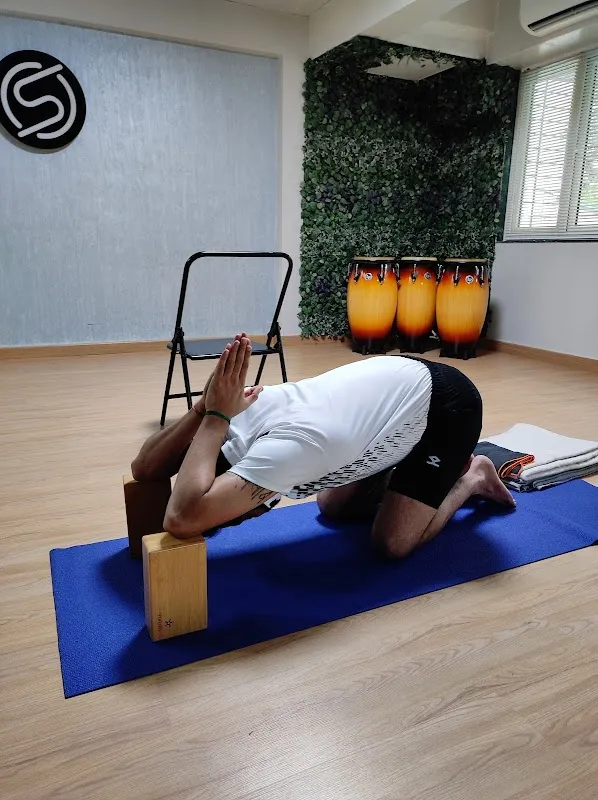 Priyog Wellness