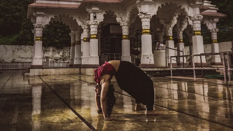Priyog Wellness