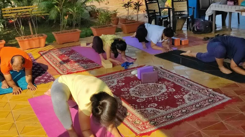 Priyog Wellness