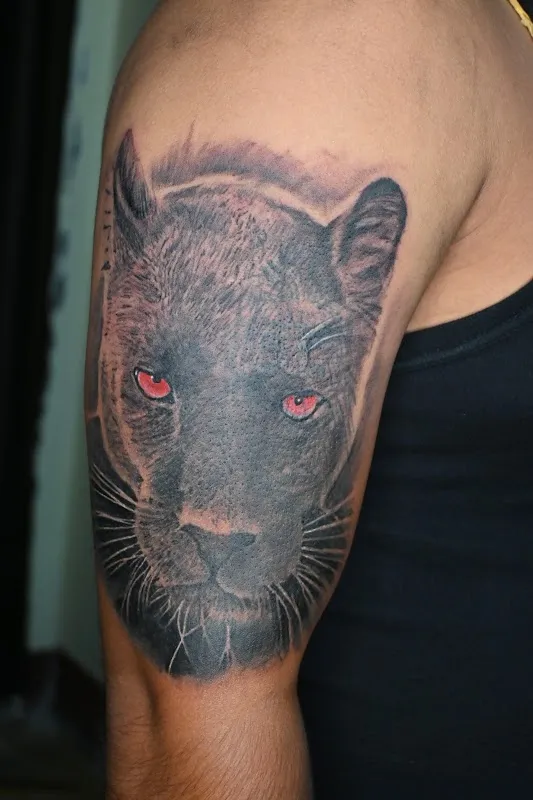 Royals Tattoo Studio & Academy
