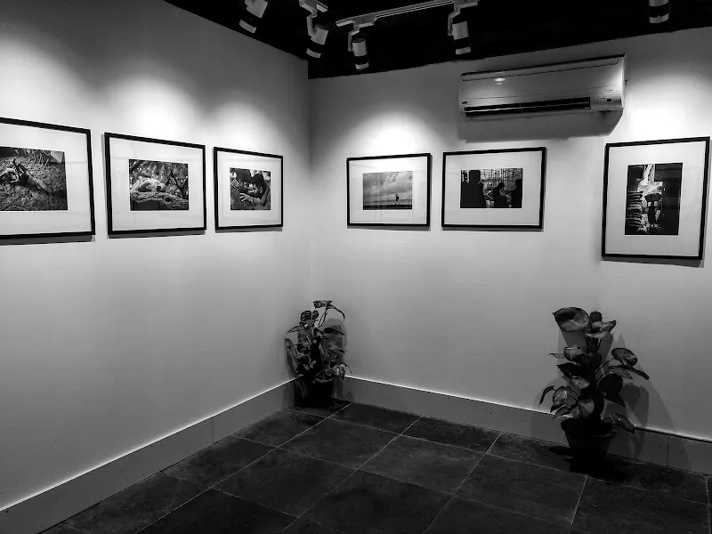 Delhi Photo Company