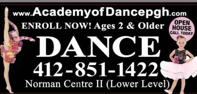 The Academy of Dance by Lori